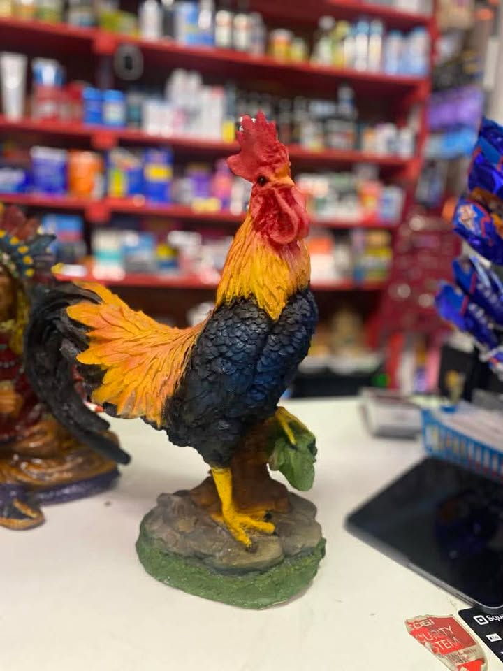 Alcancia mediana (Gallo)